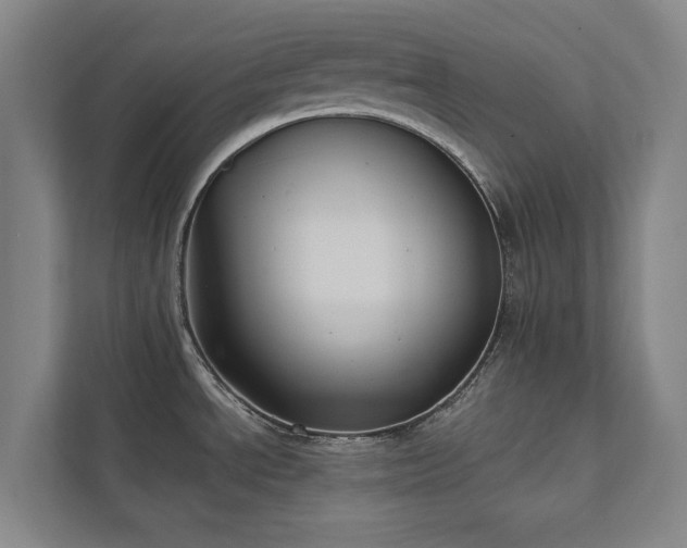 X0000111421534200907201038