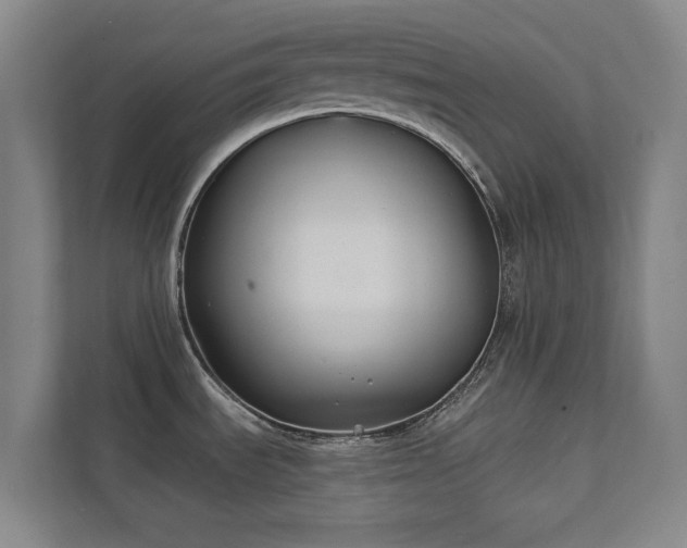 X0000111421535200907201038