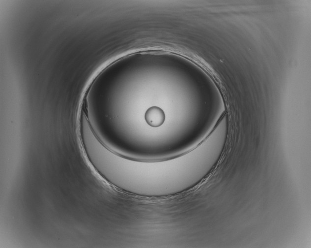 X0000111421536200907201038