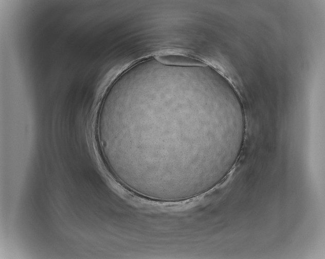 X0000111420001200907271152