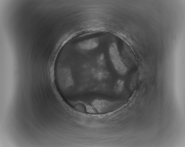 X0000111420002200907271152