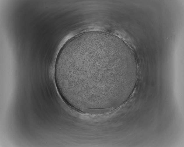 X0000111420003200907271152