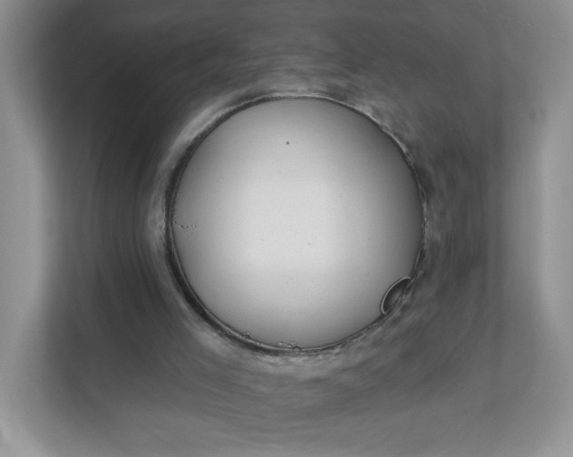 X0000111420005200907271152