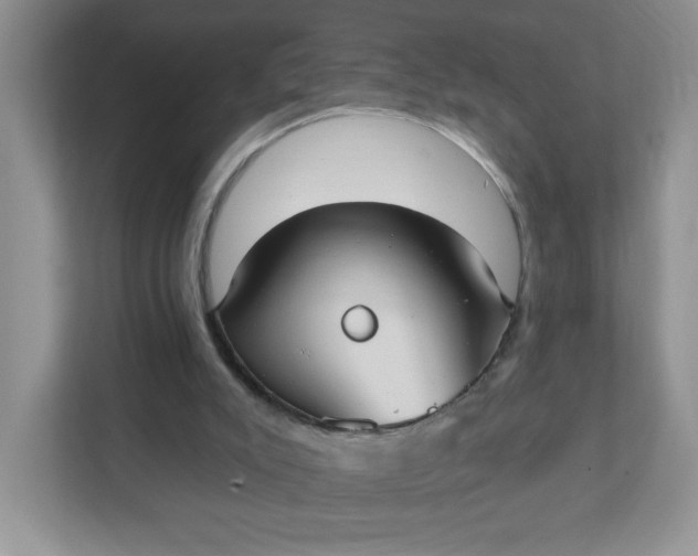 X0000111420007200907271152