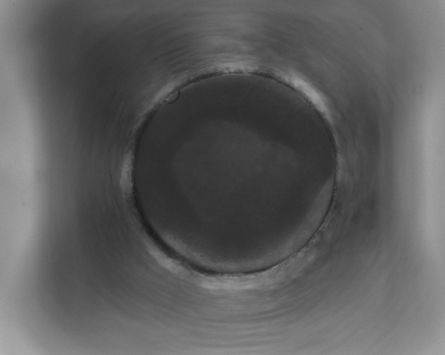 X0000111420009200907271152