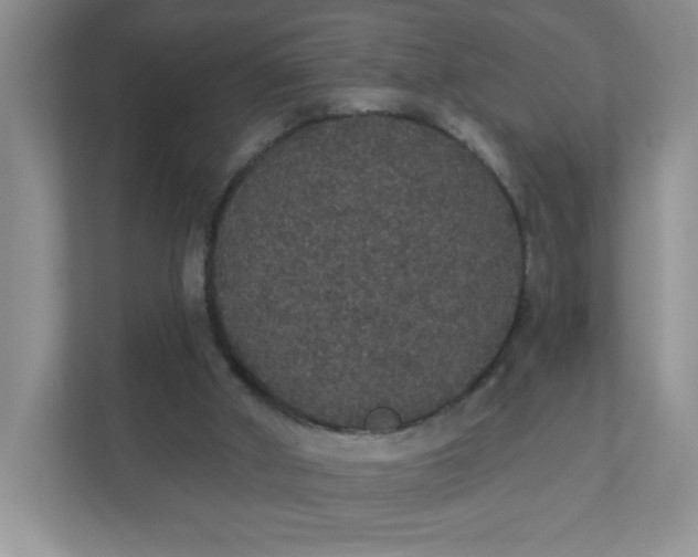 X0000111420010200907271152