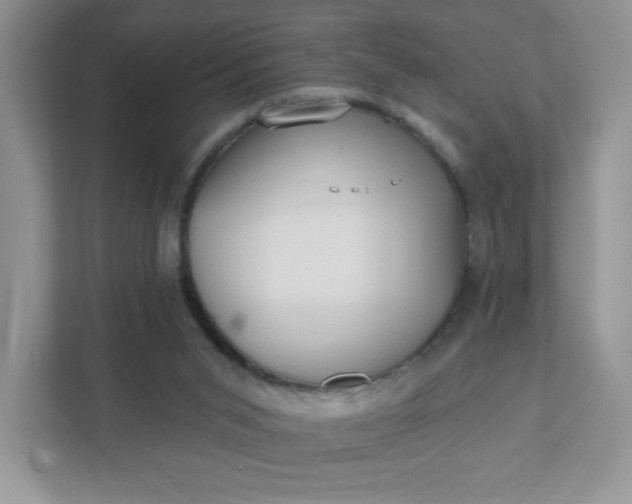 X0000111420015200907271152