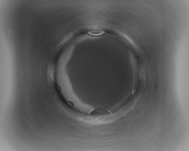 X0000111420023200907271152