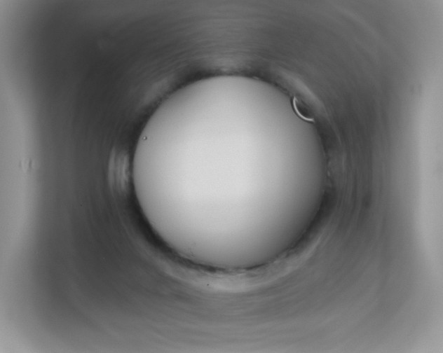 X0000111420024200907271152