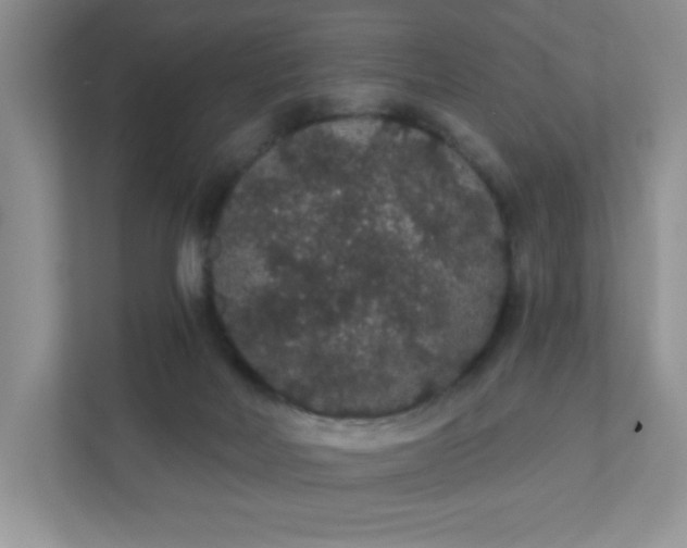 X0000111420026200907271152