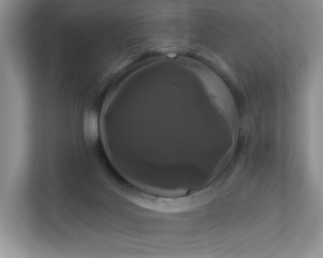 X0000111420027200907271152