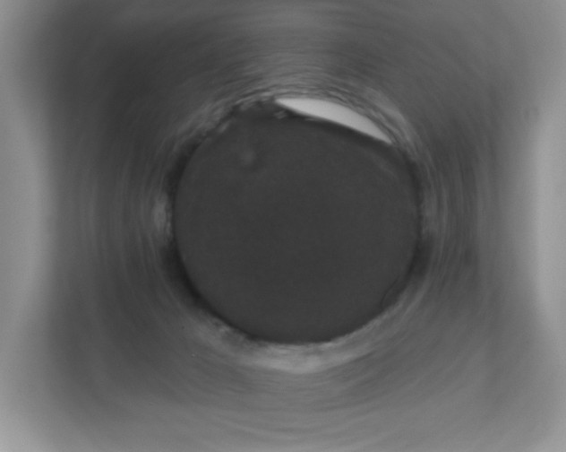 X0000111420029200907271152