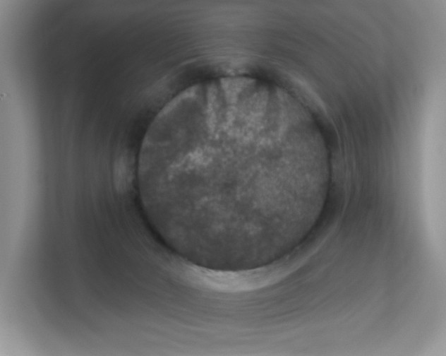 X0000111420030200907271152