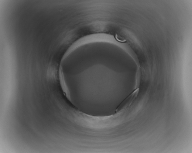 X0000111420035200907271152