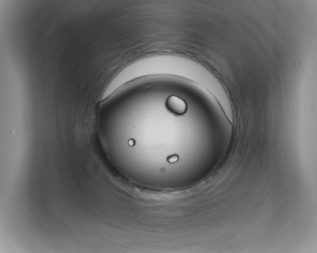 X0000111420036200907271152