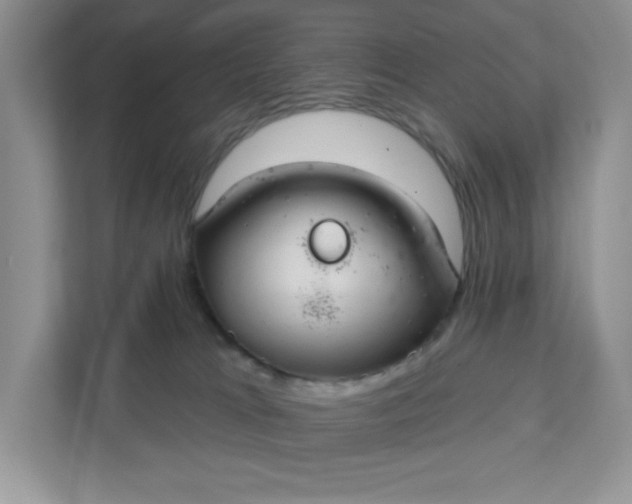 X0000111420037200907271152