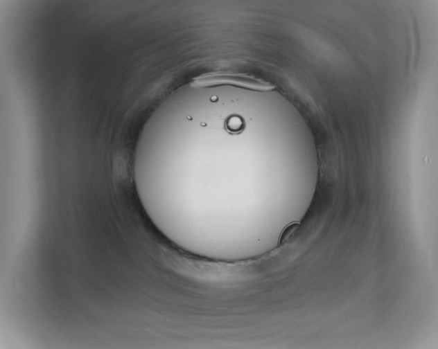 X0000111420044200907271152