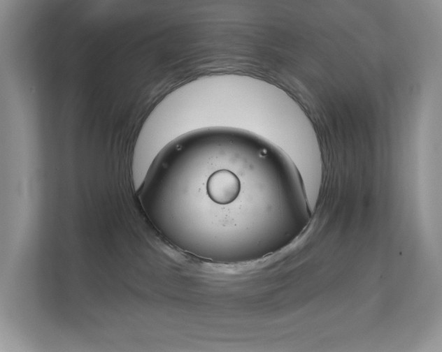 X0000111420045200907271152