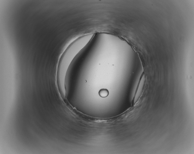 X0000111420052200907271151