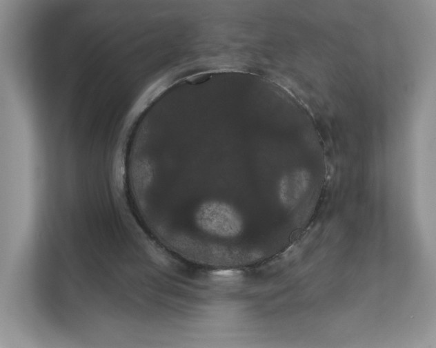 X0000111420053200907271151