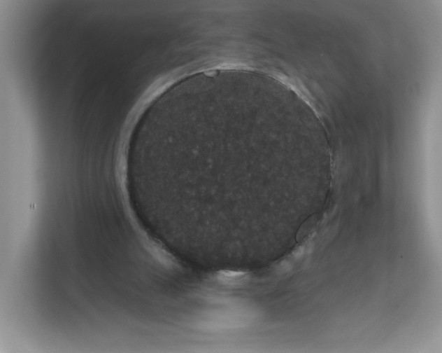 X0000111420055200907271151