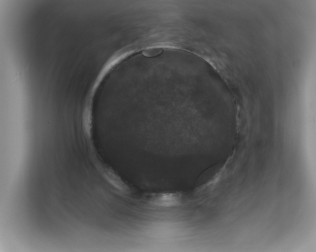 X0000111420056200907271151