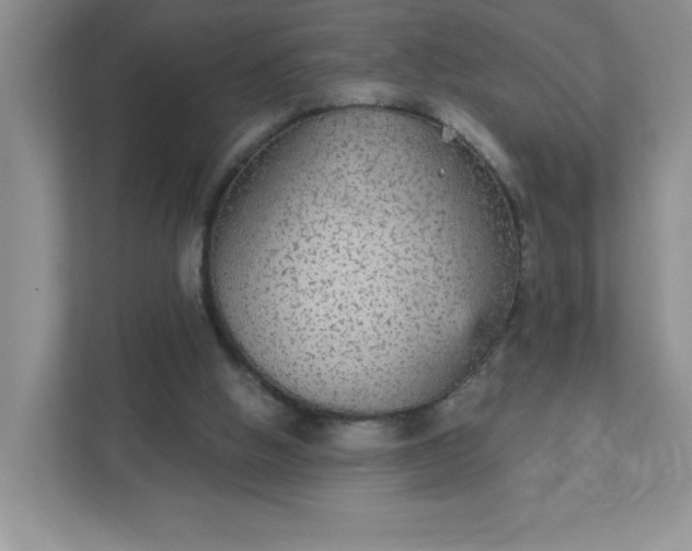 X0000111420058200907271151