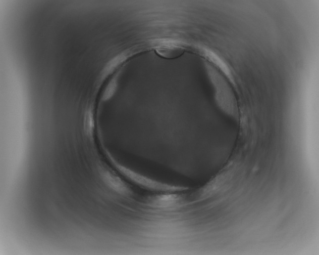 X0000111420059200907271151