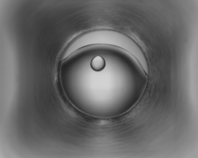 X0000111420060200907271151