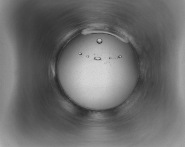 X0000111420062200907271151