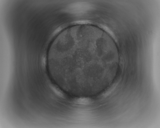 X0000111420063200907271151