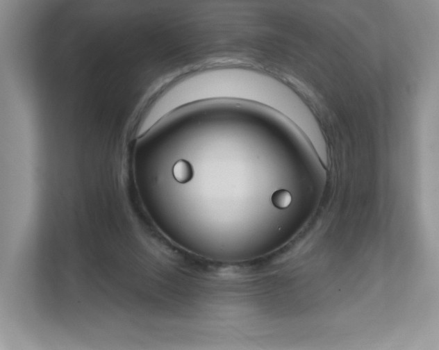 X0000111420064200907271151