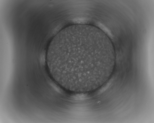 X0000111420065200907271151