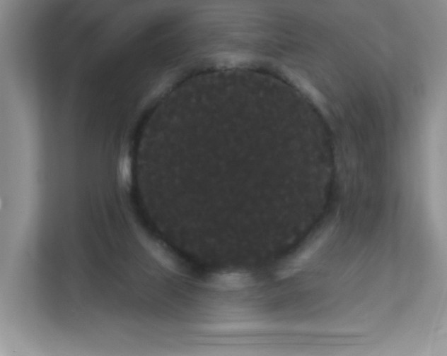 X0000111420067200907271151