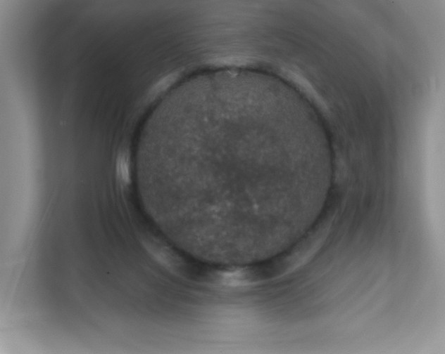 X0000111420068200907271151