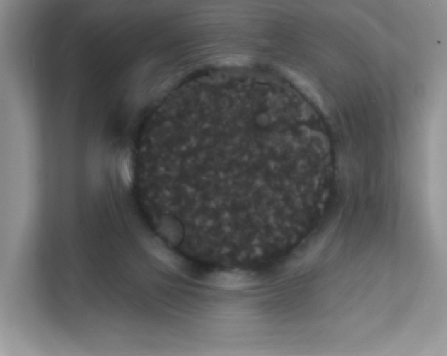 X0000111420069200907271151