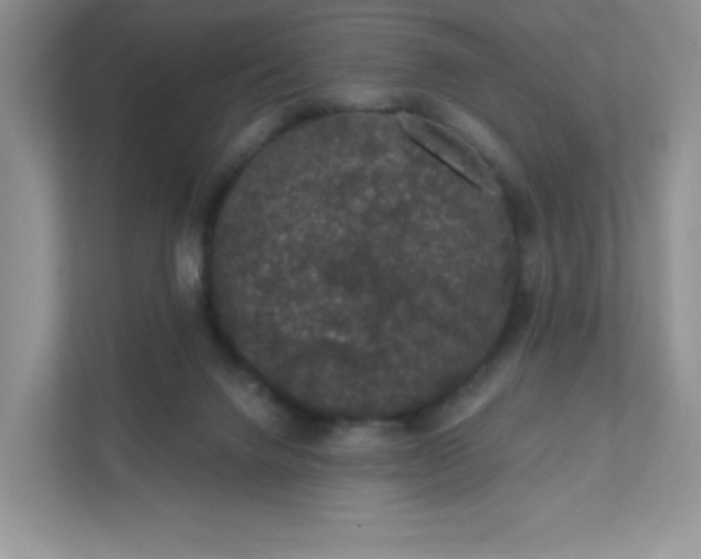 X0000111420072200907271151