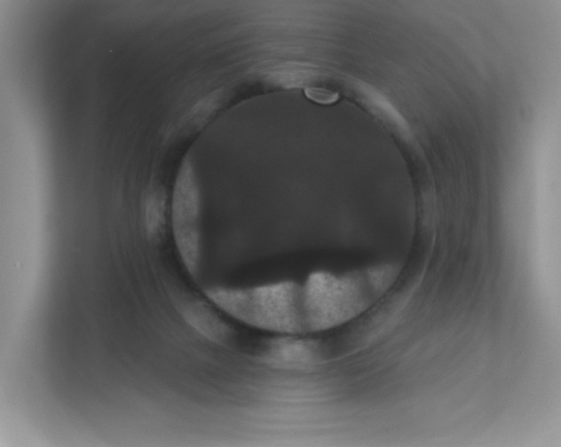 X0000111420073200907271151