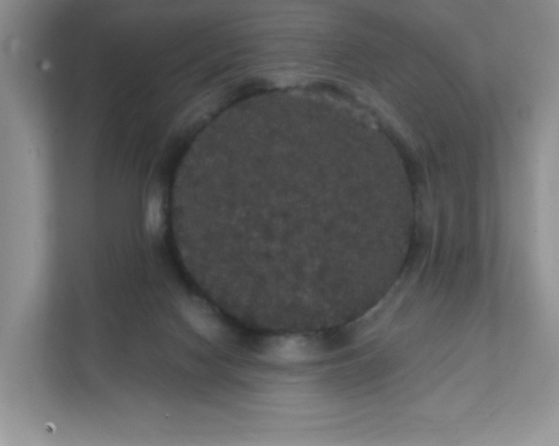 X0000111420074200907271152