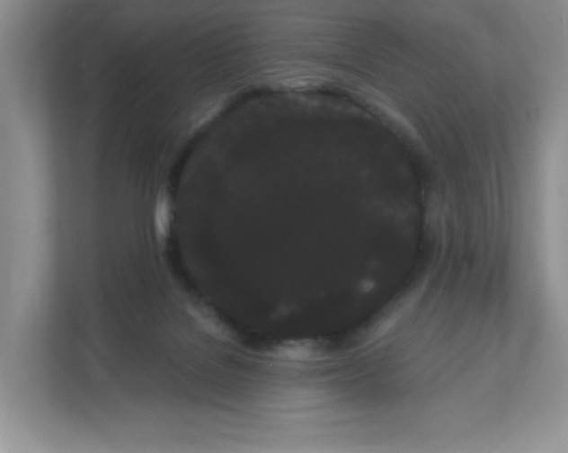 X0000111420076200907271152