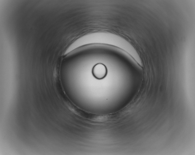 X0000111420084200907271152