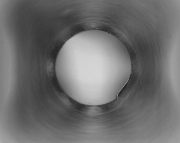 X0000111420087200907271152