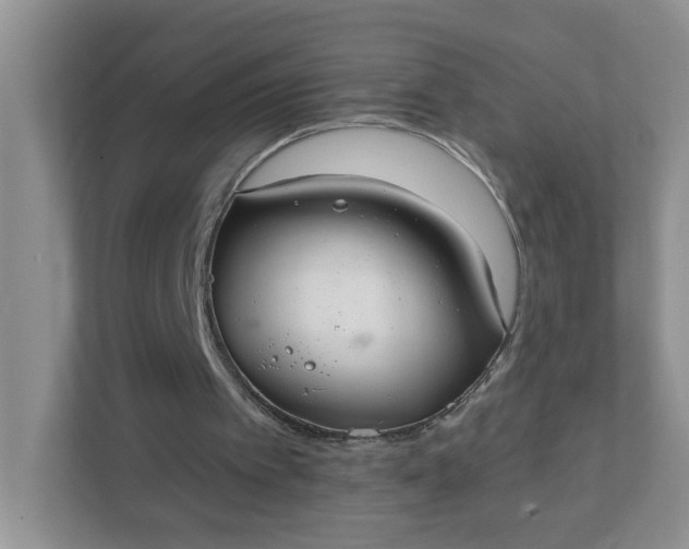 X0000111420097200907271151