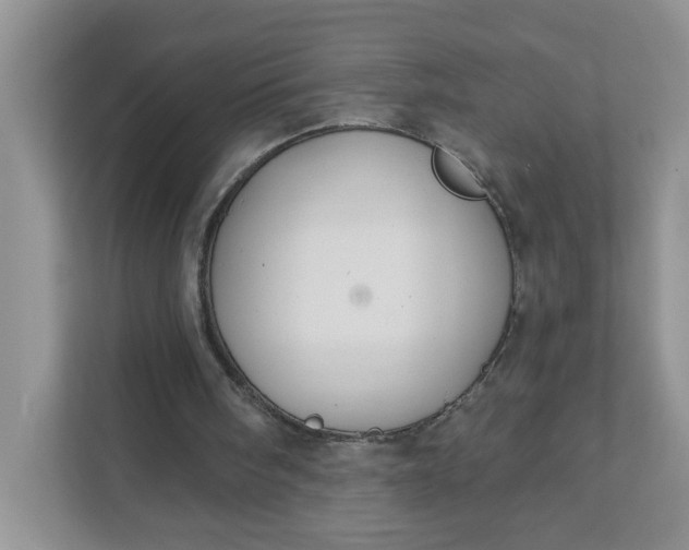 X0000111420098200907271151