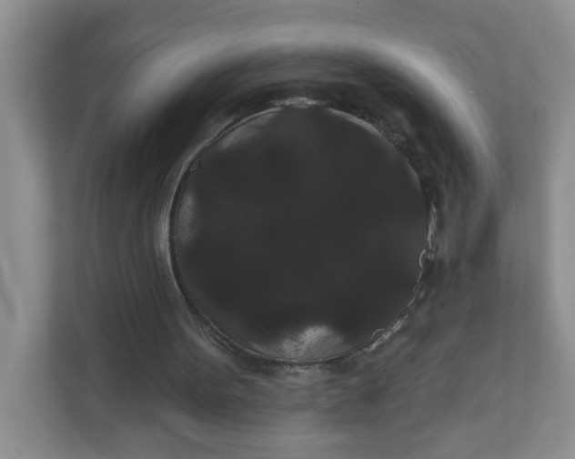 X0000111420099200907271151