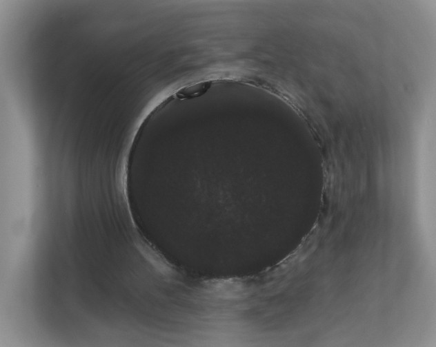 X0000111420100200907271151