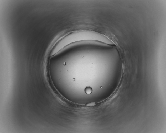 X0000111420101200907271151