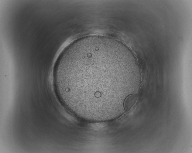 X0000111420102200907271151