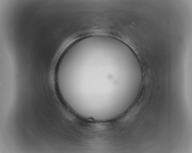 X0000111420103200907271151