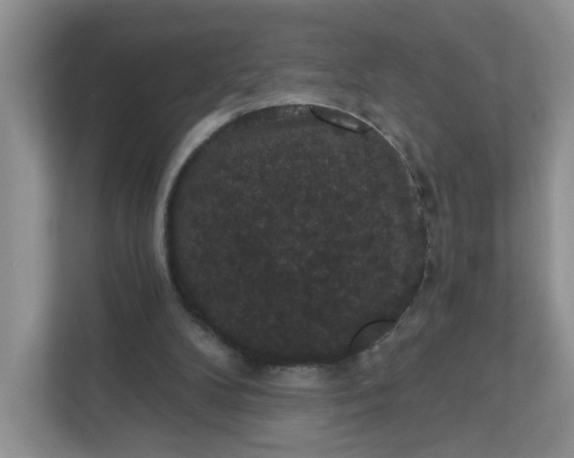 X0000111420104200907271151